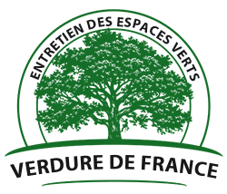 elagage-verdure-de-france-entretien-des-espaces-verts